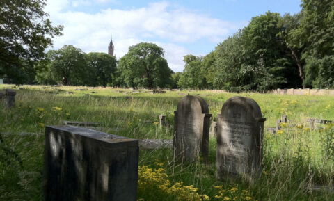 Joodse Begraafplaats – Den Haag