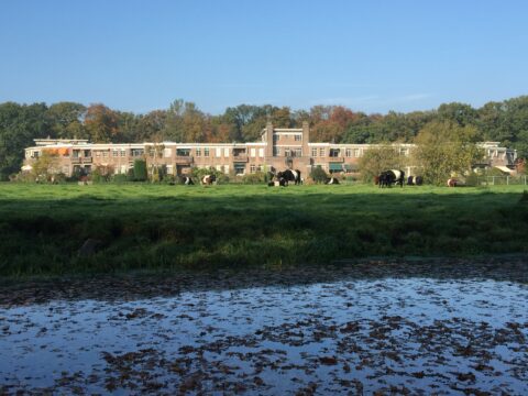 Het WAVO-park gaat haar eigen energie opwekken